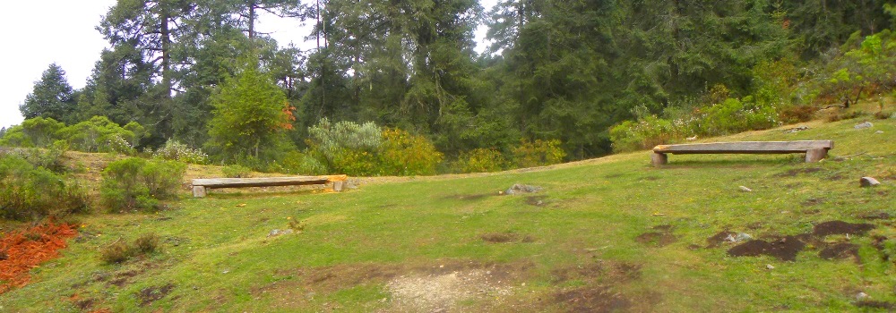 Rest stop