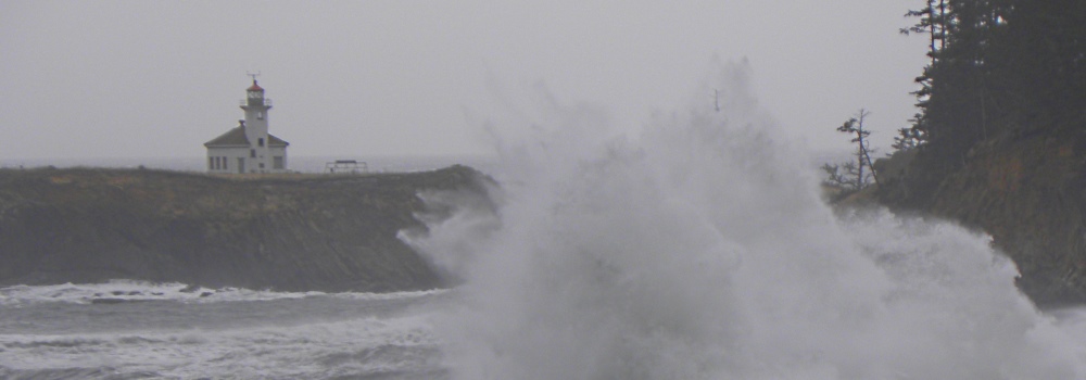 Cape Arago Lightin Heavy Surf