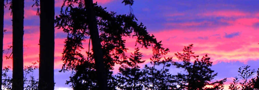 Sunglow in the Westfrom my Home