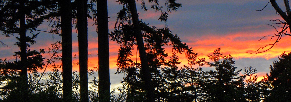 Sunglow in the Westfrom my Home