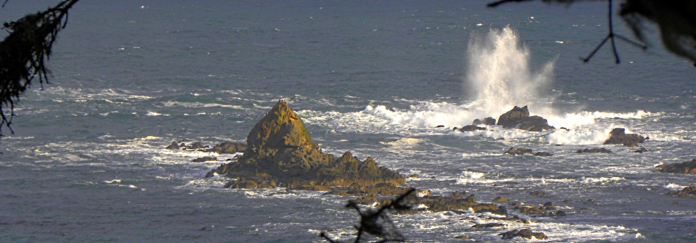 Off-shore Rocks atSunset Bay state park, Oregon