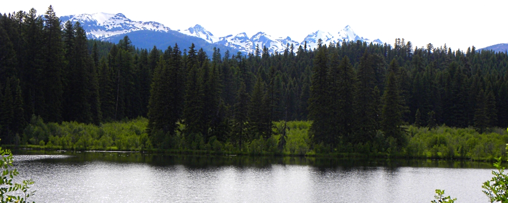 Lolo National ForestSummit Lake View