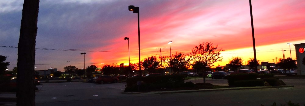 Sunset in the City
