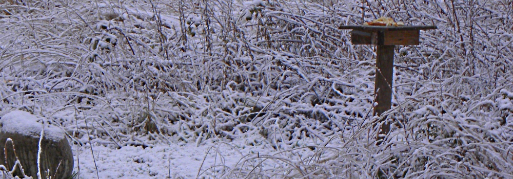 One InchOf Snow