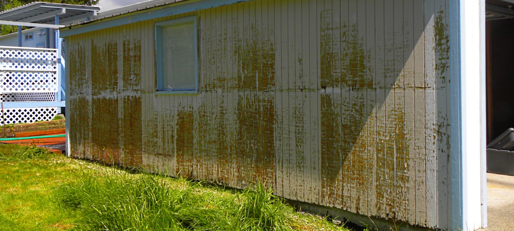 Work on the Home ContinuesPressure Washing the Garage