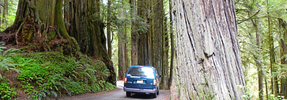 A Wayfarer&prime;s Wheels1994 Aerostar