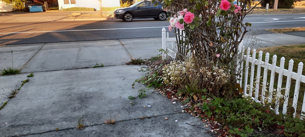 A Wayfarer&prime;s Work atThe Oak Harbor House