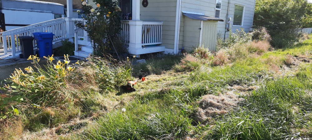 A Wayfarer&prime;s Work atThe Oak Harbor House