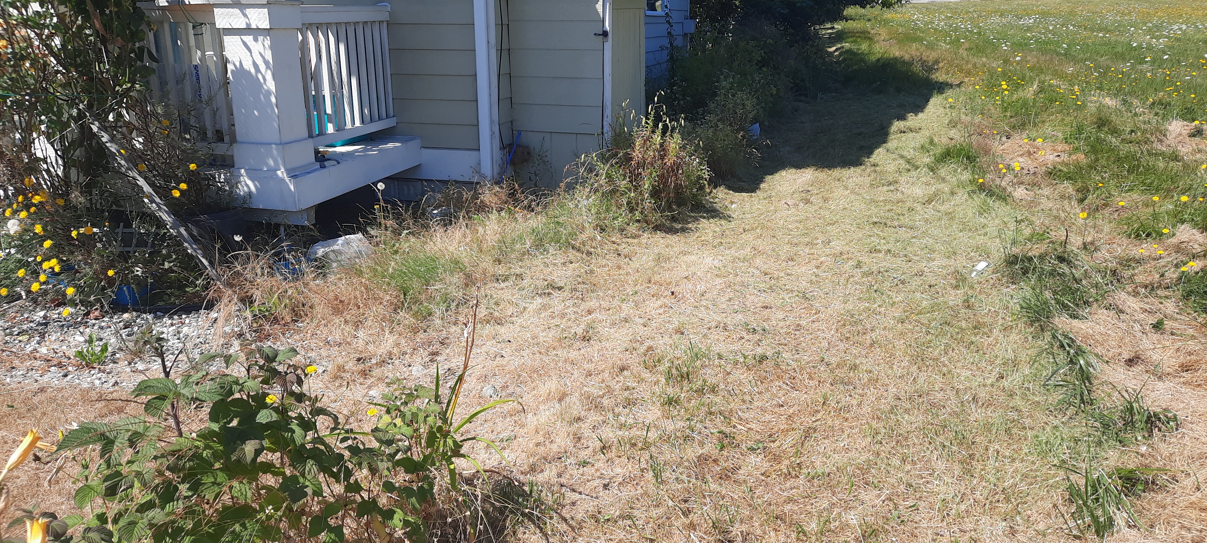 A Wayfarer&prime;s Work atThe Oak Harbor House
