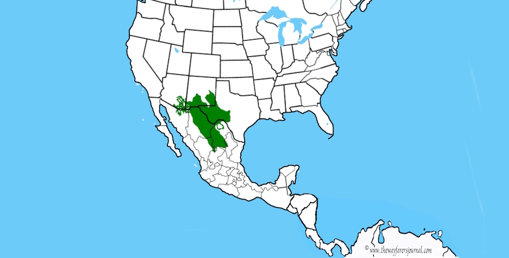 The Basin and Range RegionChihuahuanDesert