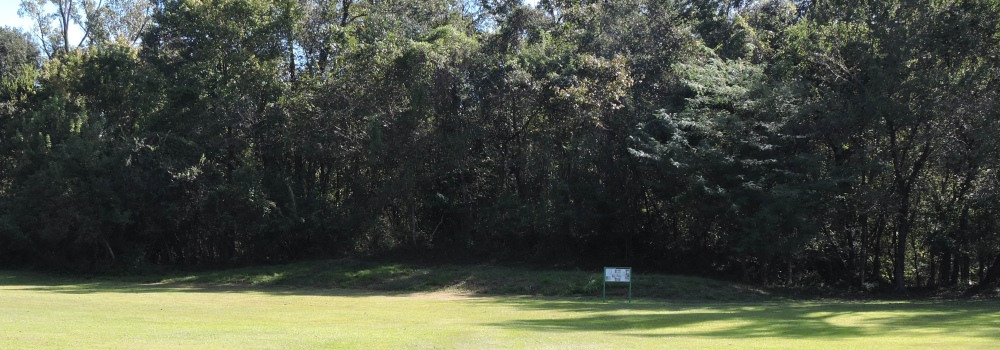 The Grand Village Temple Mound