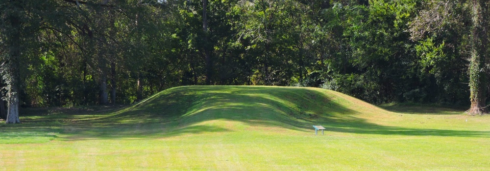 The Grand Village Temple Mound