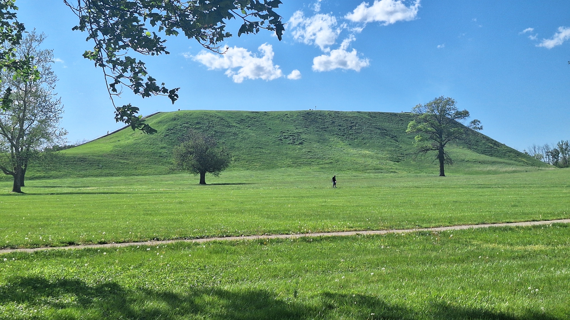 The Cahokia Mounds