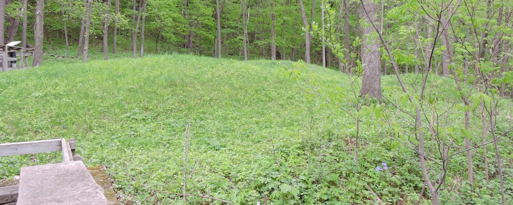 The Effigy Mounds