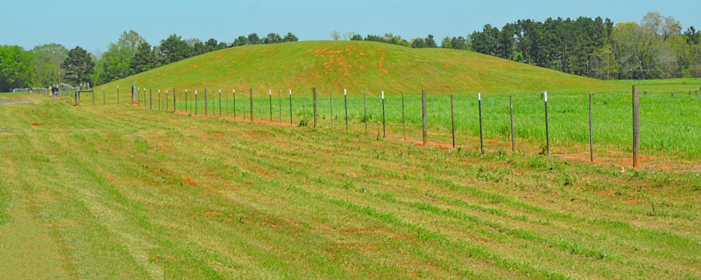 The Caddoan Mounds