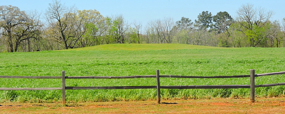 The Caddoan Mounds