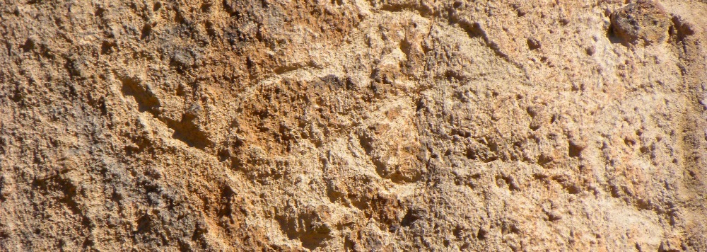 The PetroglyphBandelier National Monument