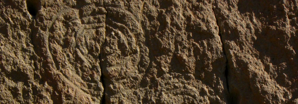 The PetroglyphBandelier National Monument