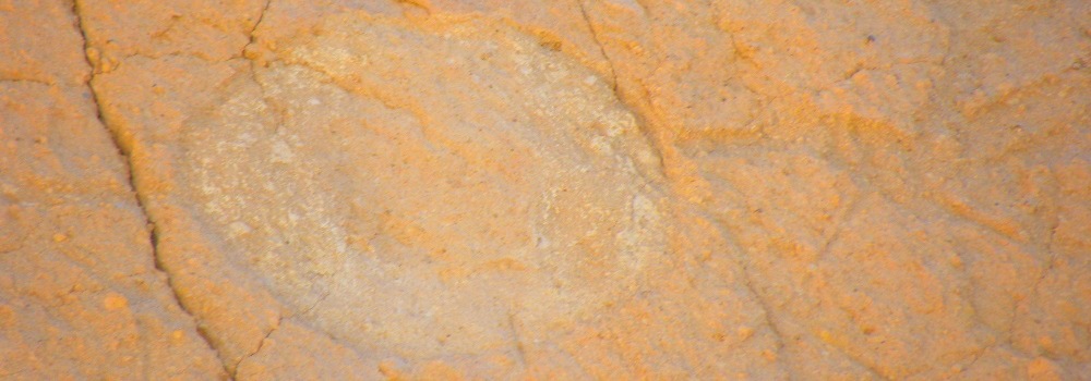 The PetroglyphBandelier National Monument