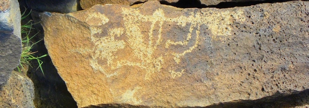 Petroglyph Nat. Mon. Boca Negra Canyon