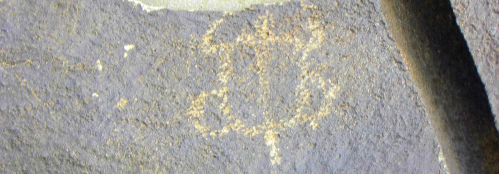 Petroglyph Nat. Mon. Boca Negra Canyon