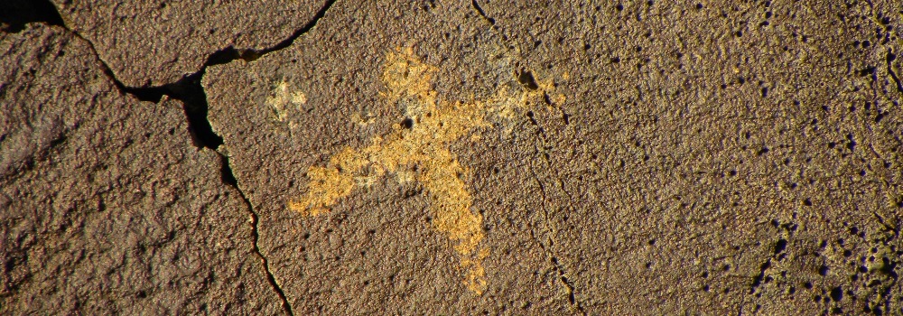Petroglyph Nat. Mon. Boca Negra Canyon