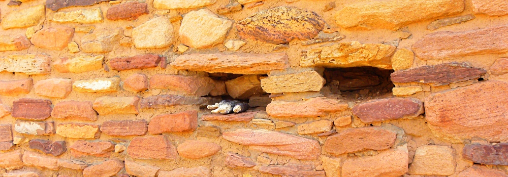 The Canyon of the AncientsLowery Pueblo Ruins