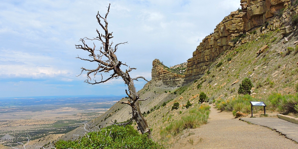The 2020 JourneyMesa Verde Ruins