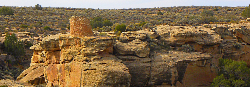 Tower Point RuinsHovenweep Ruins