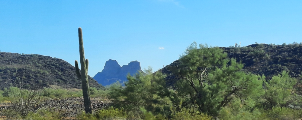 The Basin and RangeThe Madrean Archipelago Ecoregion
