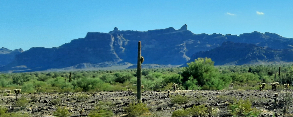 The Basin and RangeThe Madrean Archipelago Ecoregion