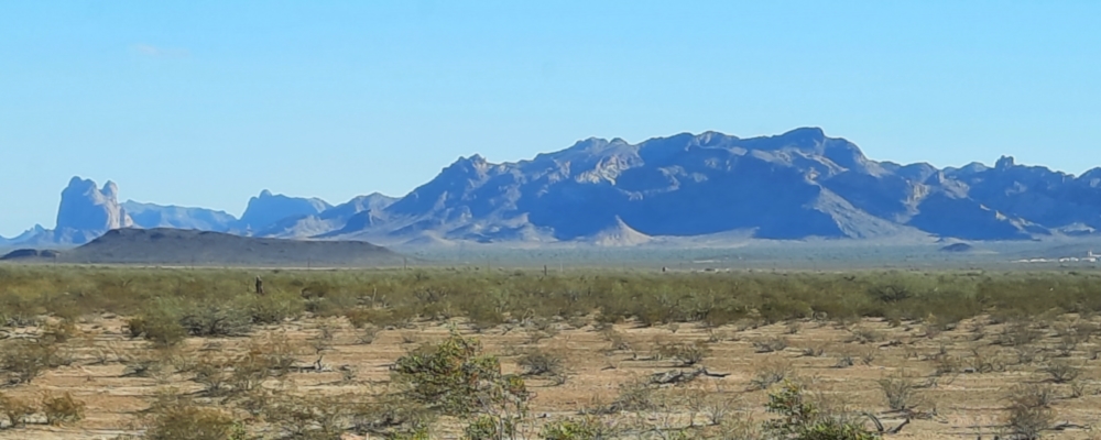 The Basin and RangeThe Madrean Archipelago Ecoregion