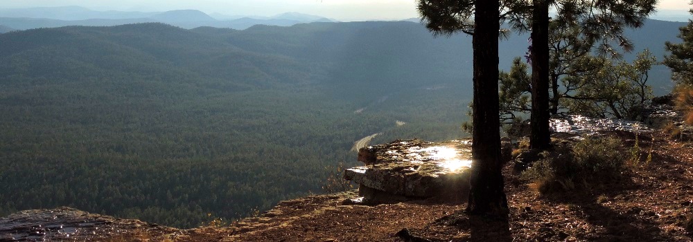Mogollon Rim Recreationa Area