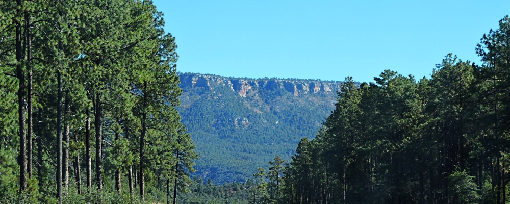 The Basin and RangeThe Escarpment Ecoregion