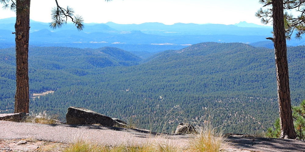 The Basin and RangeThe Escarpment Ecoregion