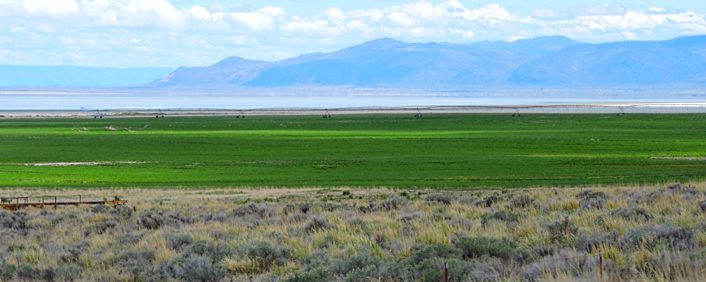 The Basin and Range RegionThe Oregon Outback Scenic Byway