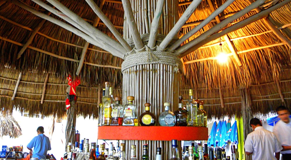 The Pacific Coast RegionPunta Mita Ecoregion