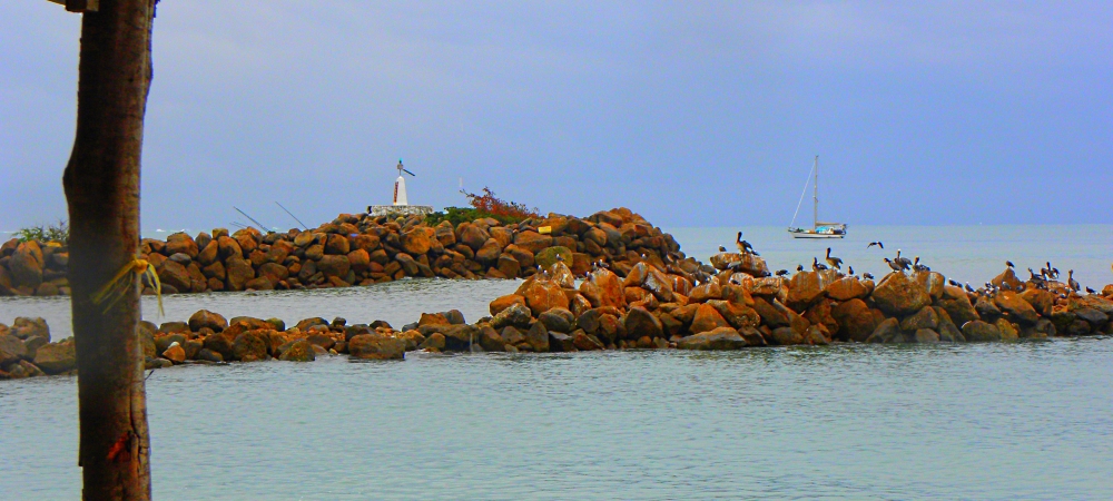 The Pacific Coast RegionPunta Mita Ecoregion