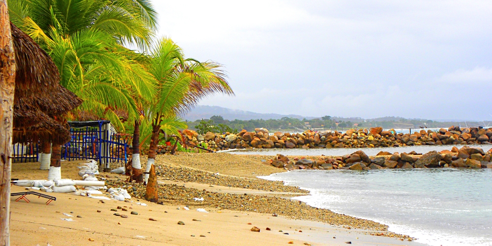 The Pacific Coast RegionPunta Mita Ecoregion