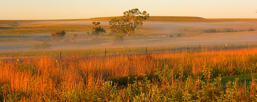 The Flint Hills EcoregionThe Tall Grass Prairie
