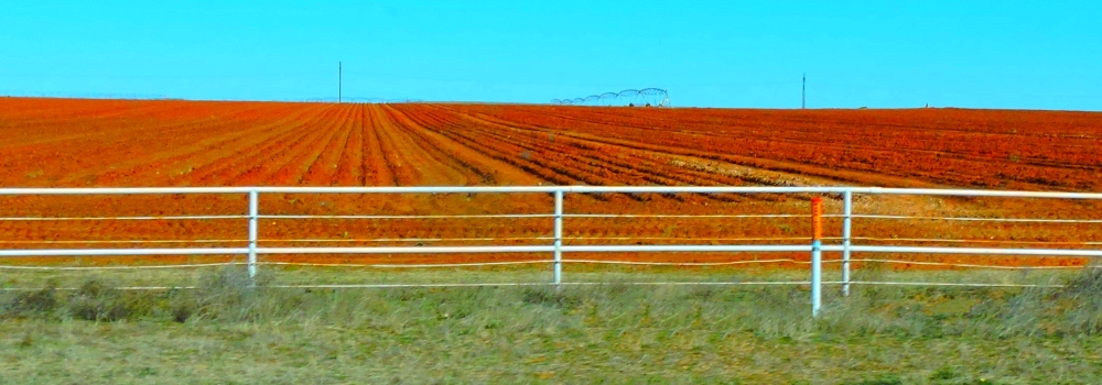 The Great PlainsTexas High Plains