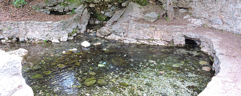 The Great PlainsThe Comal Springs