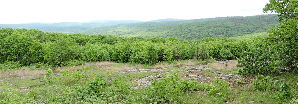The Interior HighlandsThe Taum Sauk
