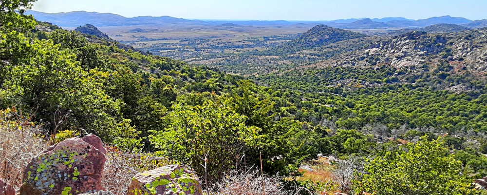 The Interior Highlands RegionThe Wichita Mountains