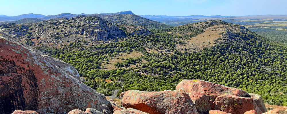 The Interior Highlands RegionThe Wichita Mountains