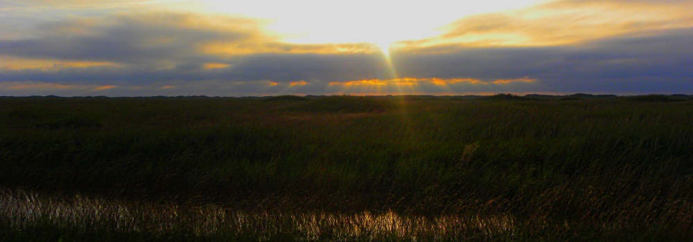 The Coastal PlainsThe Padre Island National Seashore