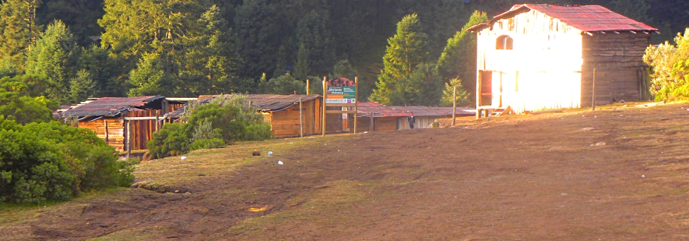 Transcontinental Volcanic MtnsChincua Sanctuary Camp