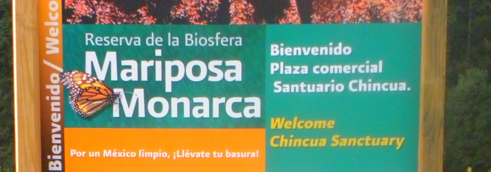 Transcontinental Volcanic MtnsChincua Sanctuary Camp