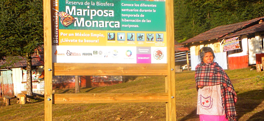 Transcontinental Volcanic MtnsThe Gate Keeper Attendant