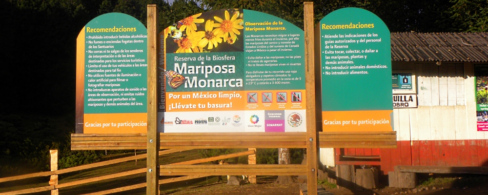 Transcontinental Volcanic MtnsReserva de la Biosfera